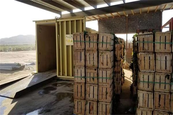 3tons Cycle Double Chamber 6 Pallets آلة تبريد الفراغ ، مبرد فراغ سريع التبريد 3