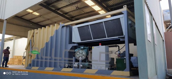 مبرد فراغ التبريد PLC R22 لحفظ القرنبيط 0